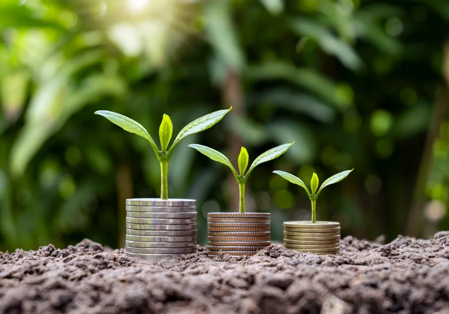 Three stacks of coins in soil, each with a seedling growing from it