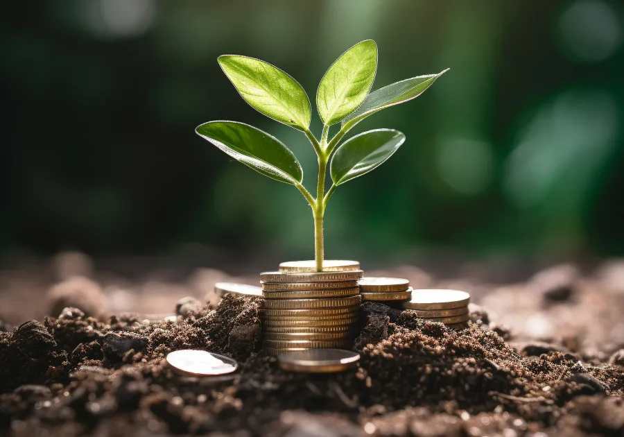 A hand planting a coin among growing stacks of coins